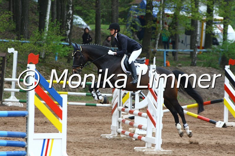 005L3933_Diamant_Stil A.JPG